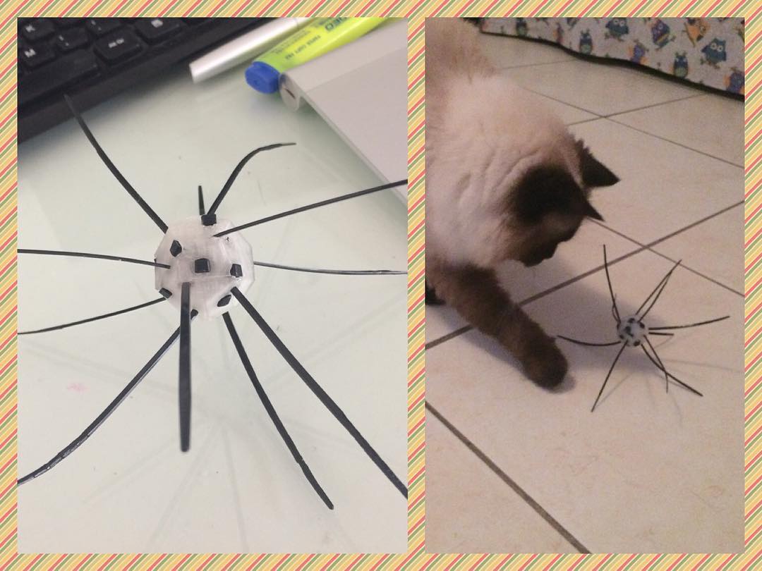 3d printing kitty toys... 😻#toys #cats #catsofinstagram  #catstagram  #ilovemycat #pets #catoftheday #design #print #3D #3 #graphicdesign #business #3dprint #startup #twitch #Tech #innovation #3dprinting #3dhubs #nerds